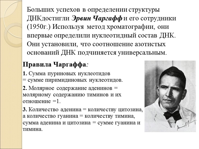 Больших успехов в определении структуры ДНКдостигли Эрвин Чаргафф и его сотрудники (1950г.) Используя метод